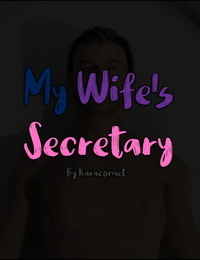 KaraComet My Wifes Secretary
